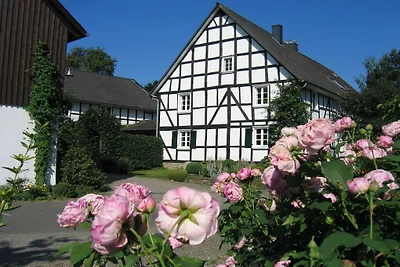 Jacob's Ladder, Tüschenbonnen Estate