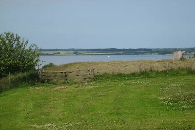 Auf dem Ferienhof Harnisch