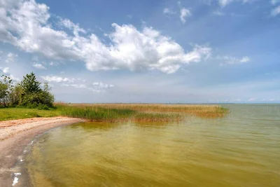 Bij de Saaler Bodden