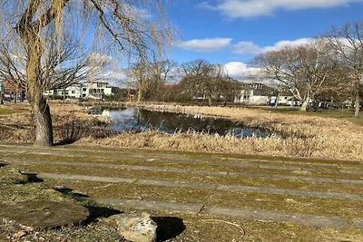 Directe omgeving (zomer) (<1 km) Directe omgeving (zomer) (<1 km)