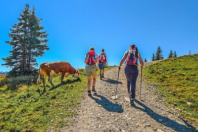 Wohnung in Brixen im Thale mit einem Garten