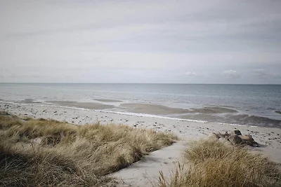 Vakantiehuis Ontspannende vakantie Læsø