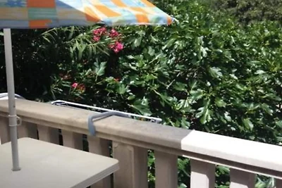 Apartments White House - Studio Apartment wit...