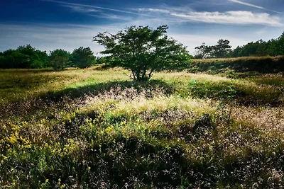 6 persoons vakantie huis in Hals-By Traum