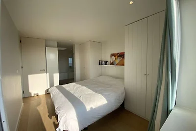 Wohnung in der Nähe von Marina Nieuwpoort