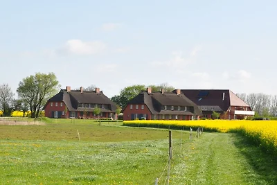 Rügen-Ferienhof