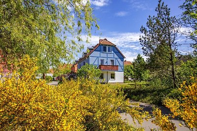 Ferienanlage BEECH Resort Fleesensee in...