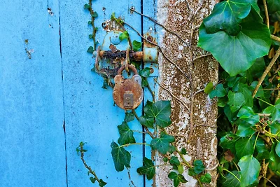 Rural Cottage Near Beaches and Coast, No...