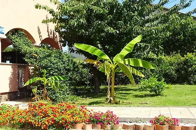 Apartmani Luna - Studio Apartment