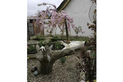 Zum Reetdachhaus am Haff " Möwennest"