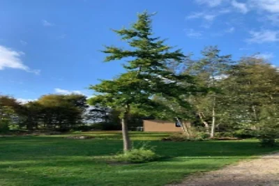 Einzigartige Naturlodge mit Terrassengarten