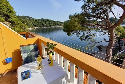 Apartments Vinko Mljet- One-Bedroom Apartment...