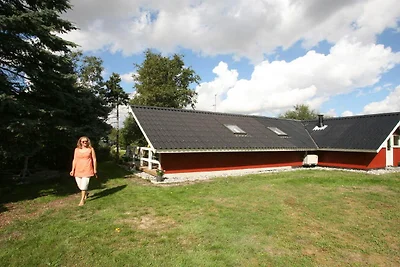 7 Personen Ferienhaus in Dannemare