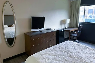 1 kingsize bed | Roken toegestaan