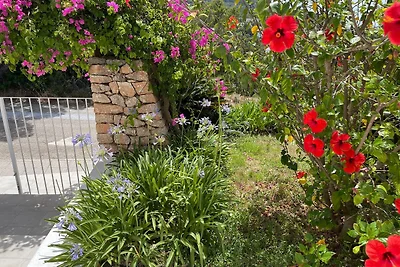 Garten (Sommer) Garten (Sommer)