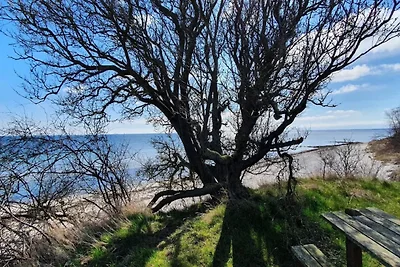 14 Personen Ferienhaus in Idestrup-By Traum