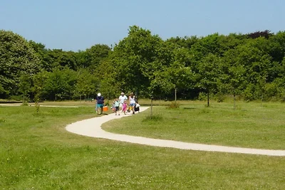 Vakantiehuis in Domburg met zwembad