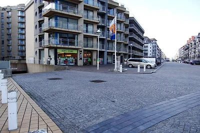 Appartement in Nieuwpoort met zeezicht