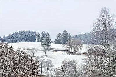 Ferienwohnung mit 1 Schlafzimmer