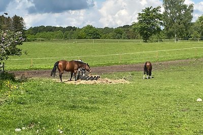 4 Sterne Ferienhaus in LÖVESTAD