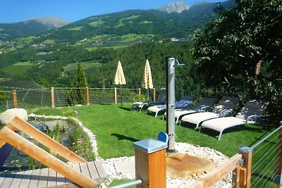 Araucaria presso Residence Braiter
