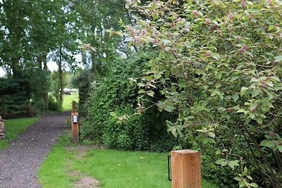 Landelijk gelegen ruim chalet nabij Giethoorn