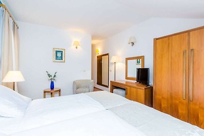 Pansion Srebreno - Double or Twin Room with B...