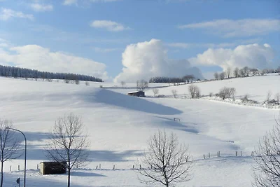 Appartamento vicino a Willingen per gli sport...