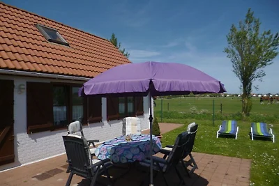 Dom Rybaka Zeepolderll