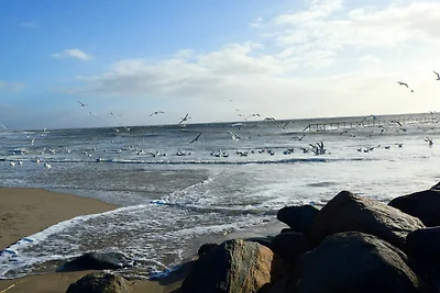 Strandparadies in Blavand -- By Traum...