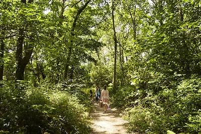 Apartment am Hermitage-Strand und den Dünen