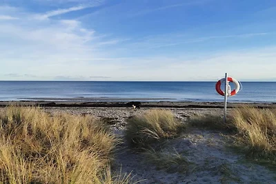 12 Personen Ferienhaus in Væggerløse-By Traum