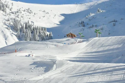 Apartment in Les Carroz an den Skipisten