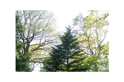 Im Grünen auf dem LandArtHof