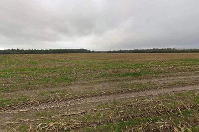 6 Personen Ferienhaus in Hovborg-By Traum