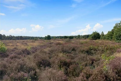Holzbungalow mit Spülmaschine, 3 km.