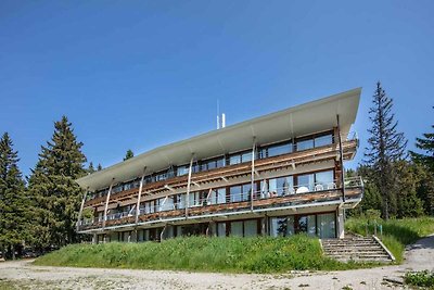 Bergwohnung in Chamrousse