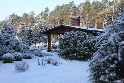 Ferienhaus mit 2 Schlafzimmer