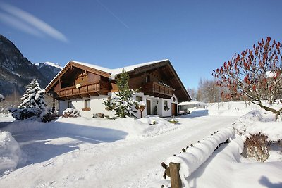 Gemütliche Ferienwohnung in Skigebietsnähe in...