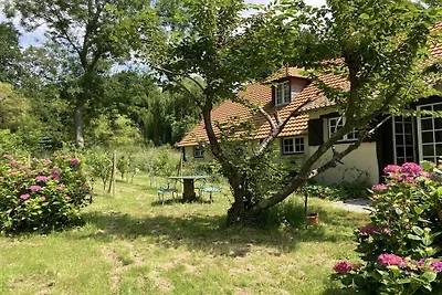||-----Maison de Noémie----------||