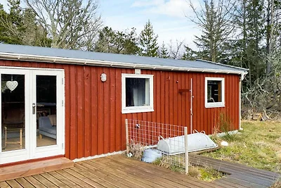 6 Personen vakantie huis in Ålbæk-By Traum