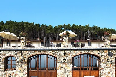 Landgut in Monte Serra mit Pool & Olivenblick