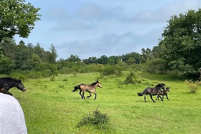 Meeresruhe am Fuglsovig-By Traum