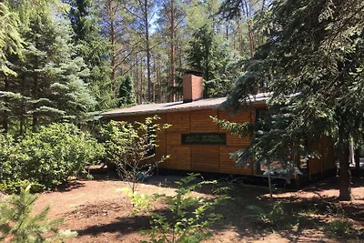 Bungalow im Wald