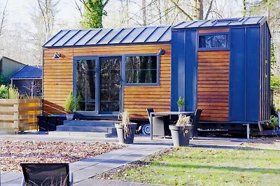 Tiny House in Hoogersmilde met tuin en...