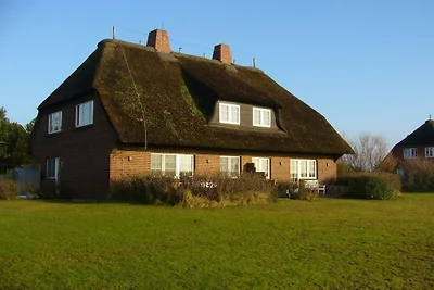 Objekt 38 || Nieblum