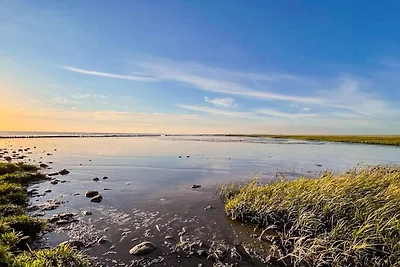 4 Sterne Ferienhaus in Højer