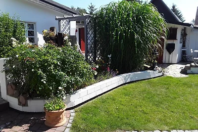 Ferienhaus in Zempin mit Garten