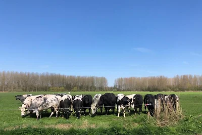 Vakantiehuis Koewacht bij Zee