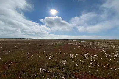 6 Personen Ferienhaus in Læsø-By Traum